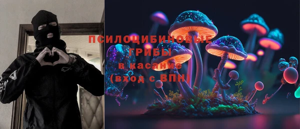 хмурый Заводоуковск