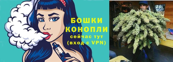 хмурый Заводоуковск