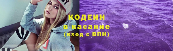 хмурый Заводоуковск
