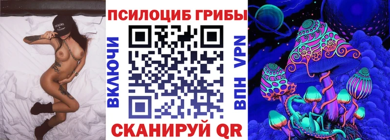 Галлюциногенные грибы Psilocybe  blacksprut зеркало  Зеленокумск 